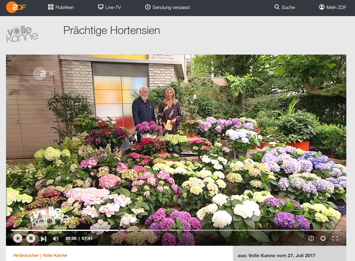 Volle Kanne Garten Gartengestaltung Idee