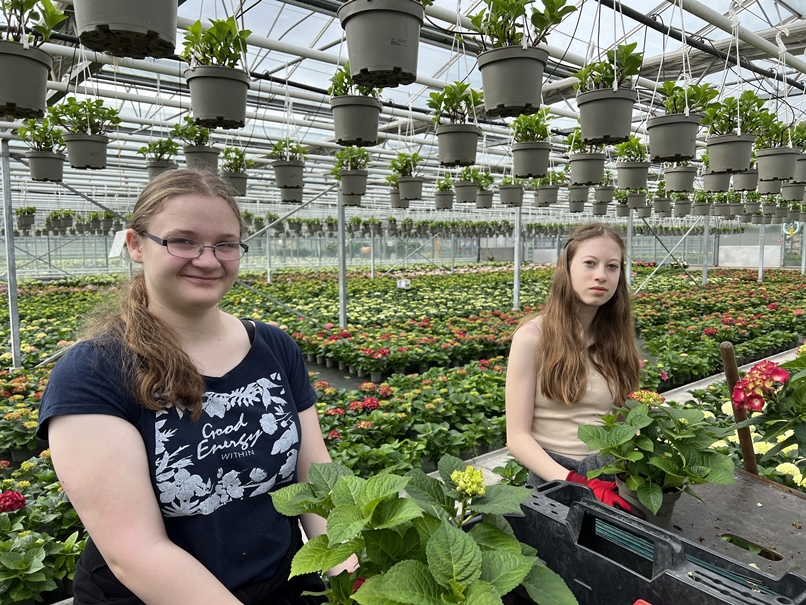 Two Girls in greenhouse girls' day hydrangeas