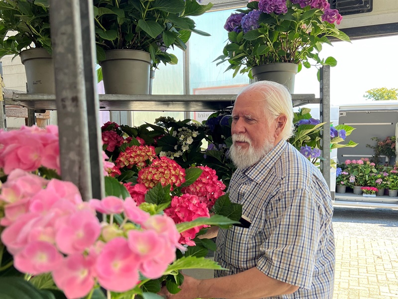 ZDF Volle Kanne Elmar Mai 2024 fetching hydrangeas Pellens Geldern